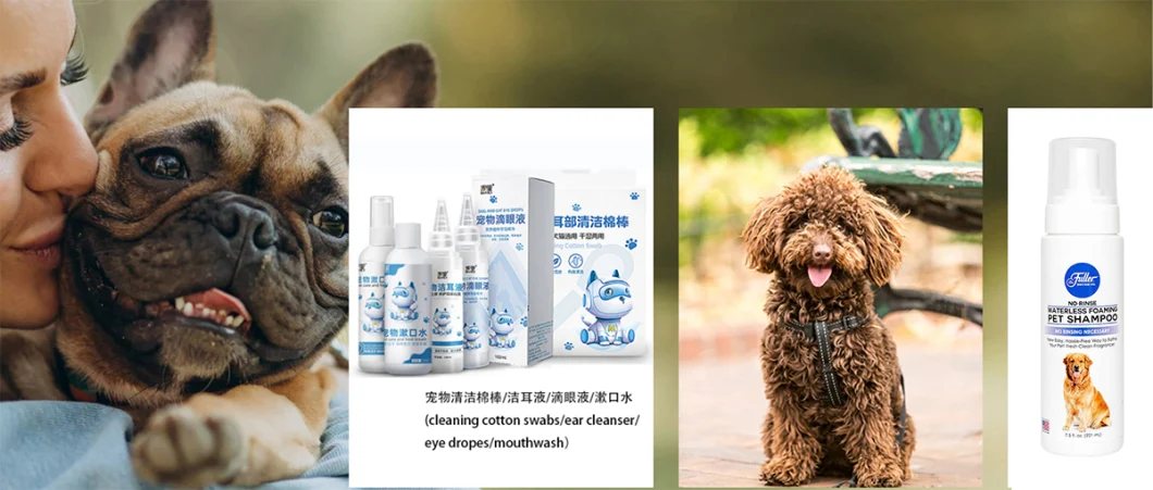 OEM Pet Dry Shampoos Pet Products Gentle Dry Cleaning Foam Shampoo Without Bathing Waterless Shampoo Cats and Dogs